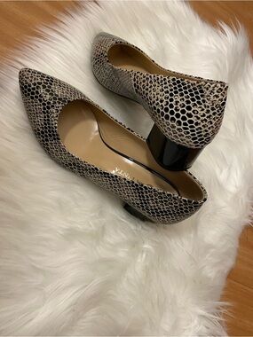 Women's Snake-Print Block Heel Pumps - Neutral Tones